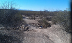 photo thumbnail #12