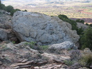 photo thumbnail #3
