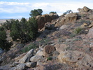 photo thumbnail #4