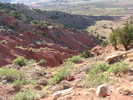 photo thumbnail #12
