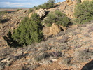 photo thumbnail #13
