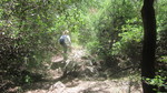 photo thumbnail #15