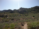 photo thumbnail #4