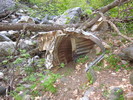 photo thumbnail #1