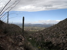 photo thumbnail #2