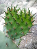 photo thumbnail #5