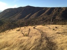 photo thumbnail #5