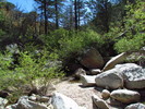 photo thumbnail #1