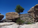 photo thumbnail #14