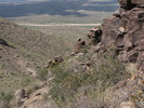 photo thumbnail #9