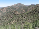 photo thumbnail #4