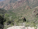 photo thumbnail #10