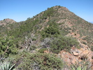 photo thumbnail #15