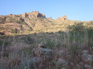 photo thumbnail #1