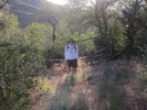 photo thumbnail #3