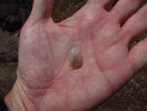 photo thumbnail #3
