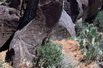 photo thumbnail #10