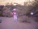 photo thumbnail #1