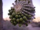 photo thumbnail #3