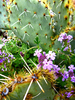 photo thumbnail #15