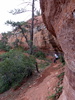 photo thumbnail #6