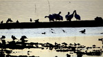 photo thumbnail #11
