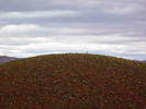 photo thumbnail #13