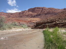 photo thumbnail #3