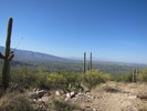 photo thumbnail #4
