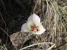 photo thumbnail #14