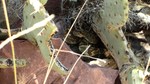 photo thumbnail #4