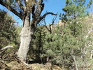 photo thumbnail #13