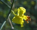 photo thumbnail #1