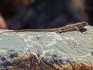 photo thumbnail #15