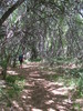 photo thumbnail #5