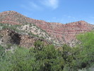 photo thumbnail #8