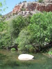 photo thumbnail #11