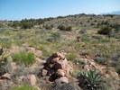 photo thumbnail #11
