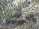 photo thumbnail #3