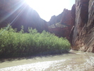 photo thumbnail #14