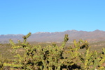 photo thumbnail #8