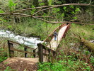 photo thumbnail #3