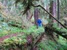 photo thumbnail #5