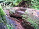 photo thumbnail #7