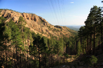 photo thumbnail #6