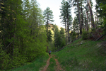 photo thumbnail #8
