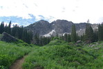 photo thumbnail #1