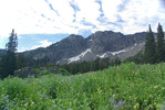 photo thumbnail #2