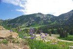 photo thumbnail #4