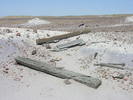 photo thumbnail #4